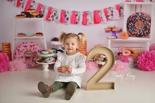 Kate Pink Donut Banner Kinder Hintergrund - Kate Backdrop.de