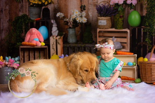 Kate Ostern Karotte Kaninchen Ostereier bunte Blume Hintergrund für Fotografie - Kate Backdrop.de