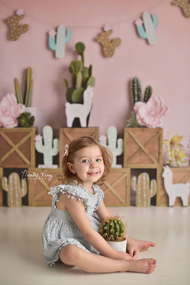 Kate Sommer Pastelllamas mit kaktusrosa Hintergrund für Kinder Entworfen von Mandy Ringe Photography - Kate Backdrop.de