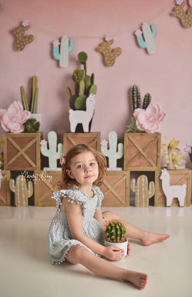 Kate Sommer Pastelllamas mit kaktusrosa Hintergrund für Kinder Entworfen von Mandy Ringe Photography - Kate Backdrop.de