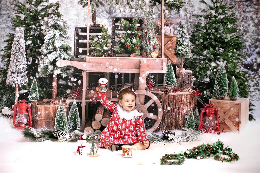 Kate Weihnachtsbäume Weihnachten Hintergrund Winter Schnee von Emetselch - Kate Backdrop.de