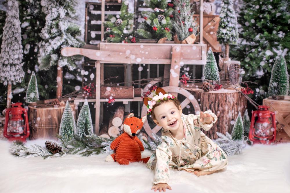 Kate Weihnachtsbäume Weihnachten Hintergrund Winter Schnee von Emetselch - Kate Backdrop.de