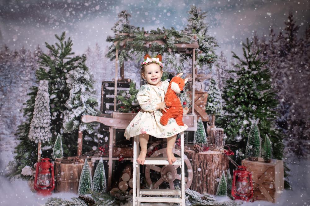 Kate Weihnachtsbäume Weihnachten Hintergrund Winter Schnee von Emetselch - Kate Backdrop.de