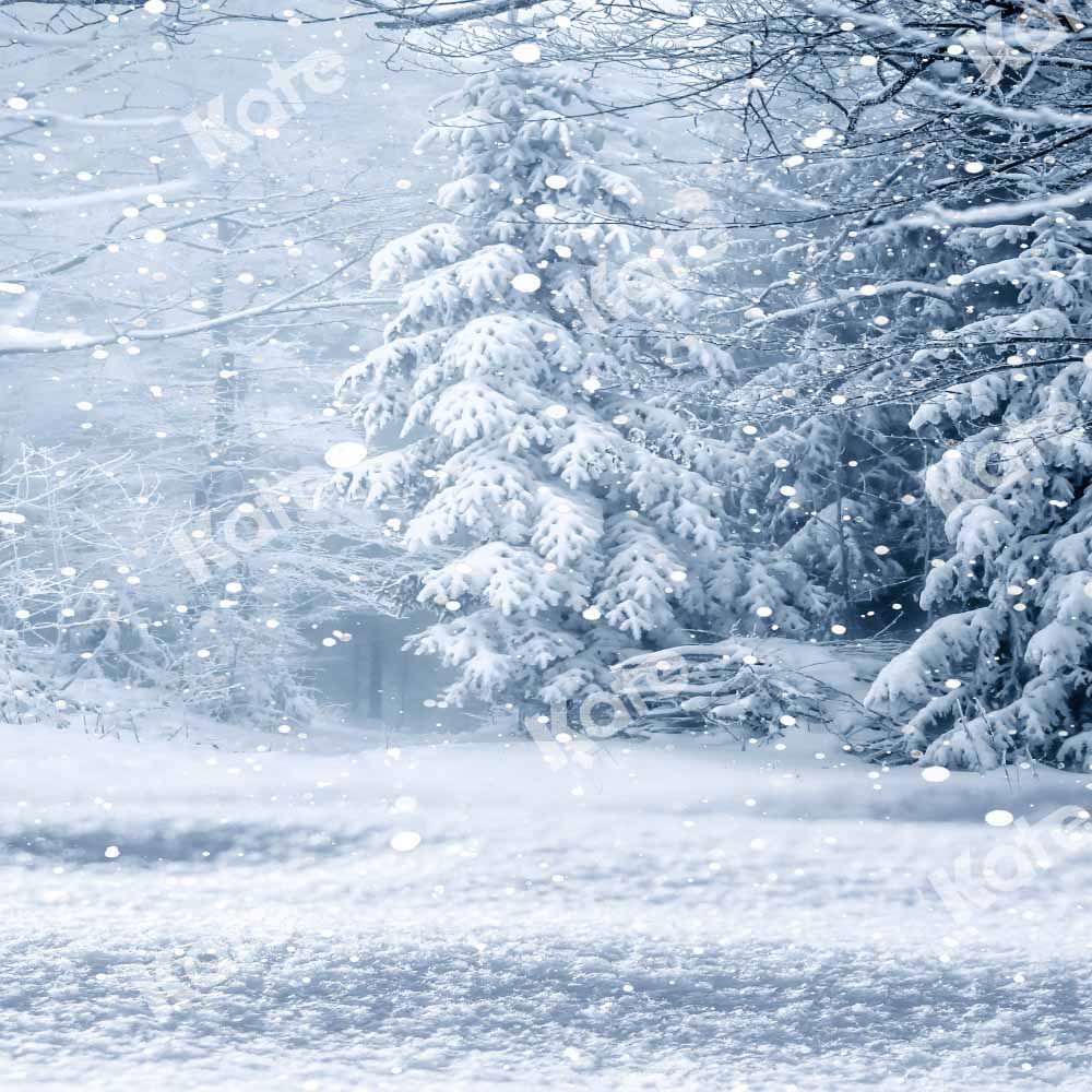 Kate Kombibackdrop Winter Schnee Wald Hintergrund - Kate Backdrop.de