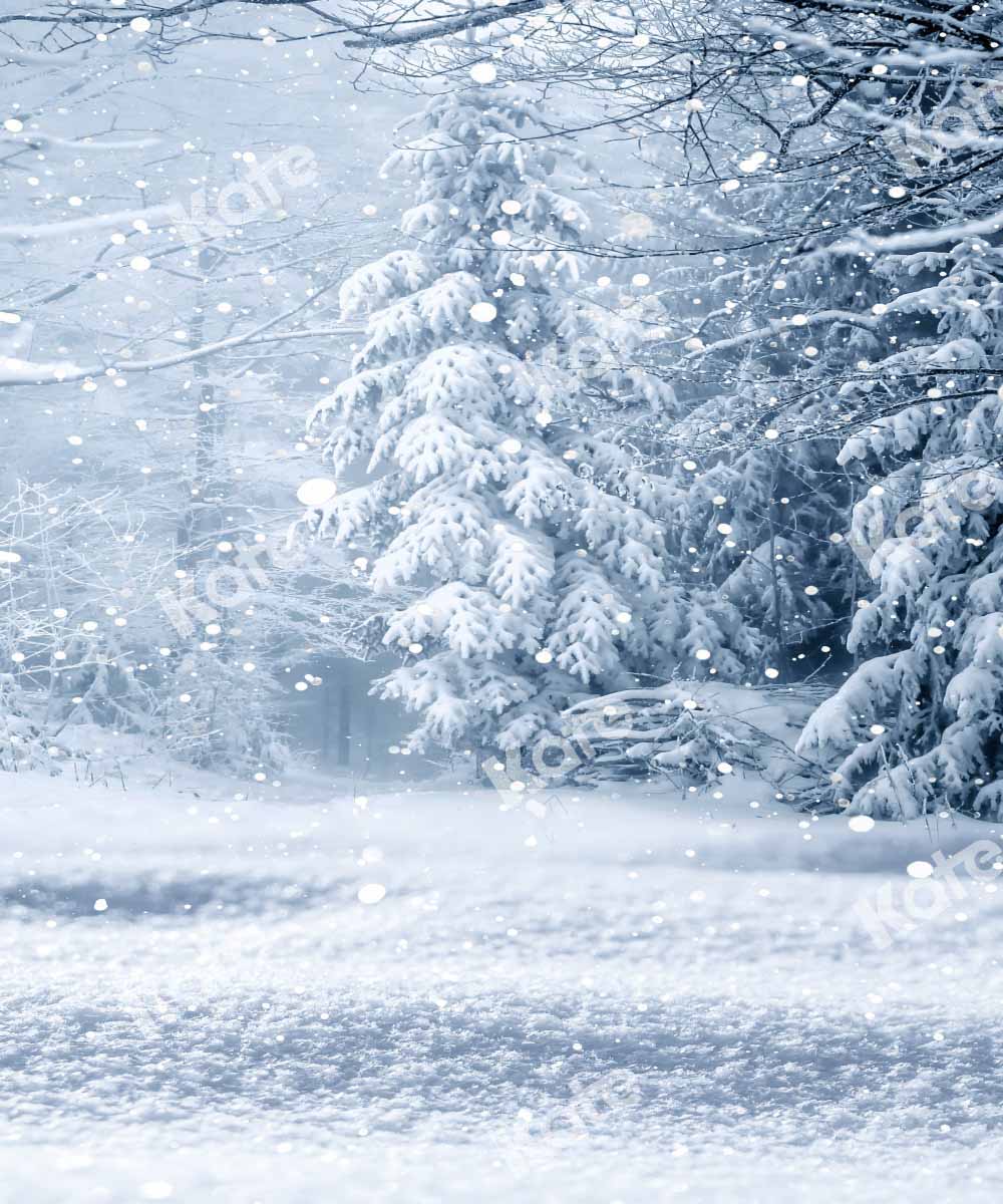 Kate Kombibackdrop Winter Schnee Wald Hintergrund - Kate Backdrop.de