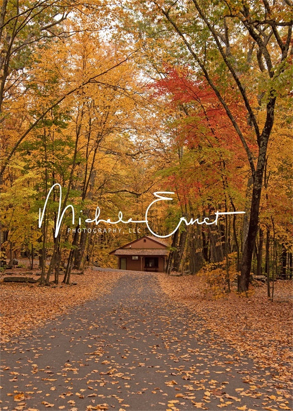 Kate Herbst Wälder Straße Bäume Hintergrund von Michele Ernst Photography - Kate Backdrop.de