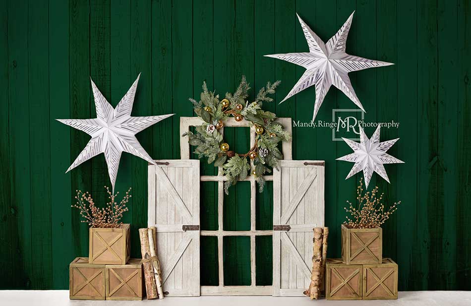 Kate Immergrüner Weihnachten Sterne Hintergrund von Mandy Ringe Photography - Kate Backdrop.de