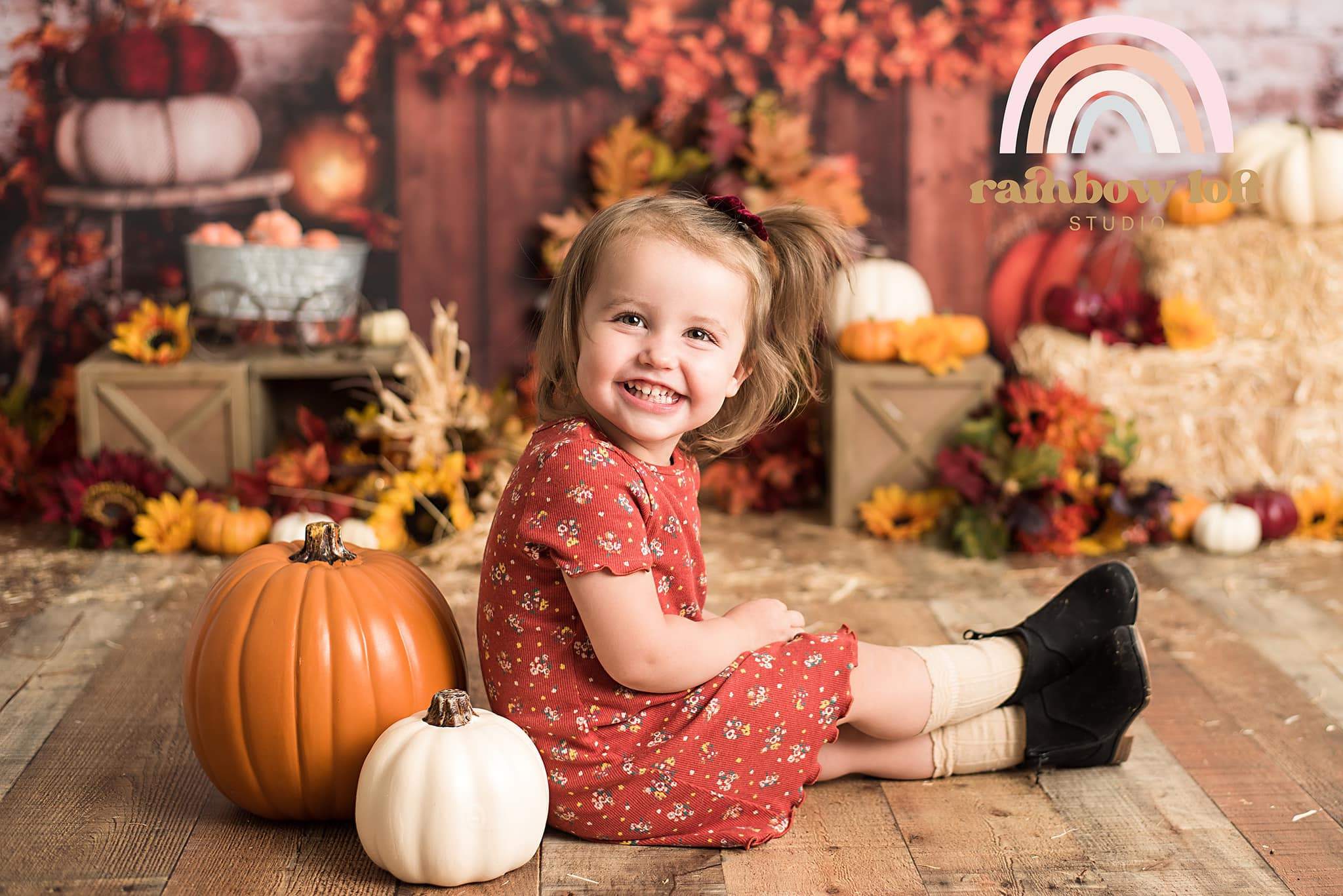 Kate Halloween Kürbis Hintergrund Herbst Kinder von Rose Abbas - Kate Backdrop.de