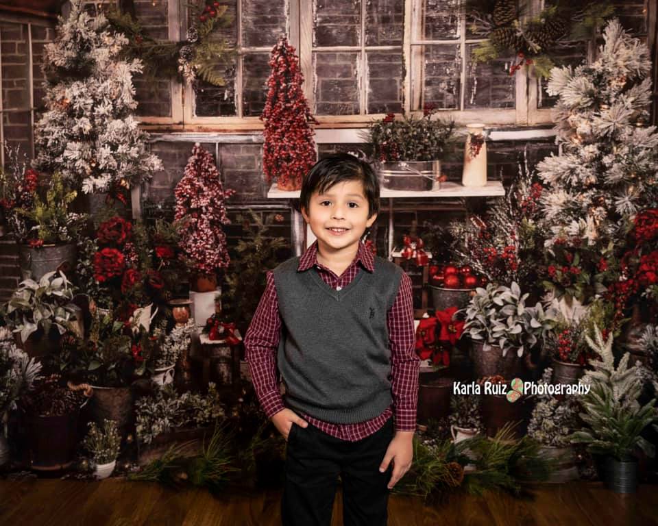 Kate Weihnachten Weihnachten Winter Hintergrund von Arica Kirby - Kate Backdrop.de