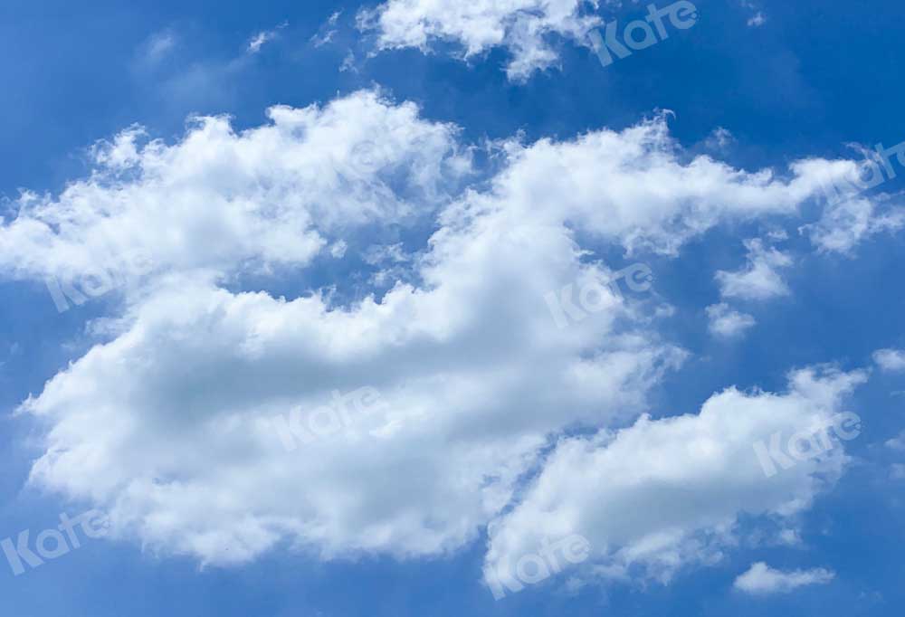 Kate Landschaft Hintergrund Blauer Himmel von Emetselch - Kate Backdrop.de