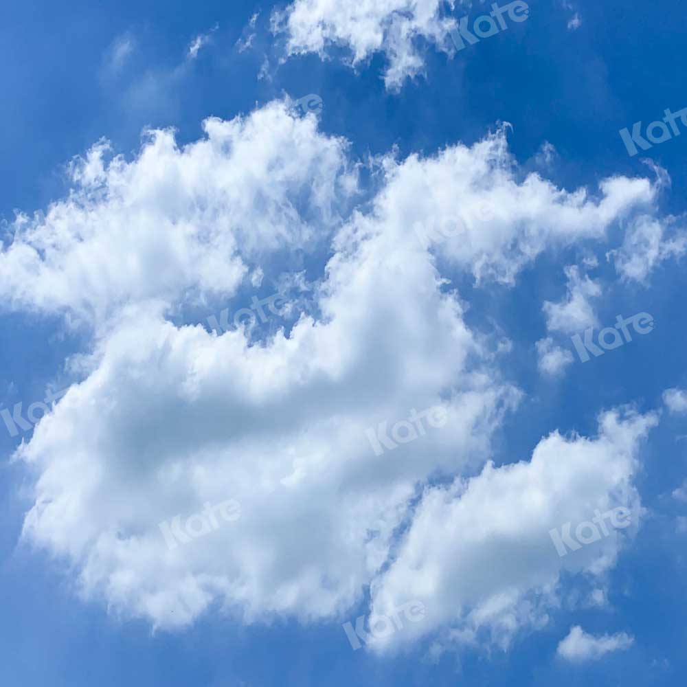 Kate Landschaft Hintergrund Blauer Himmel von Emetselch - Kate Backdrop.de