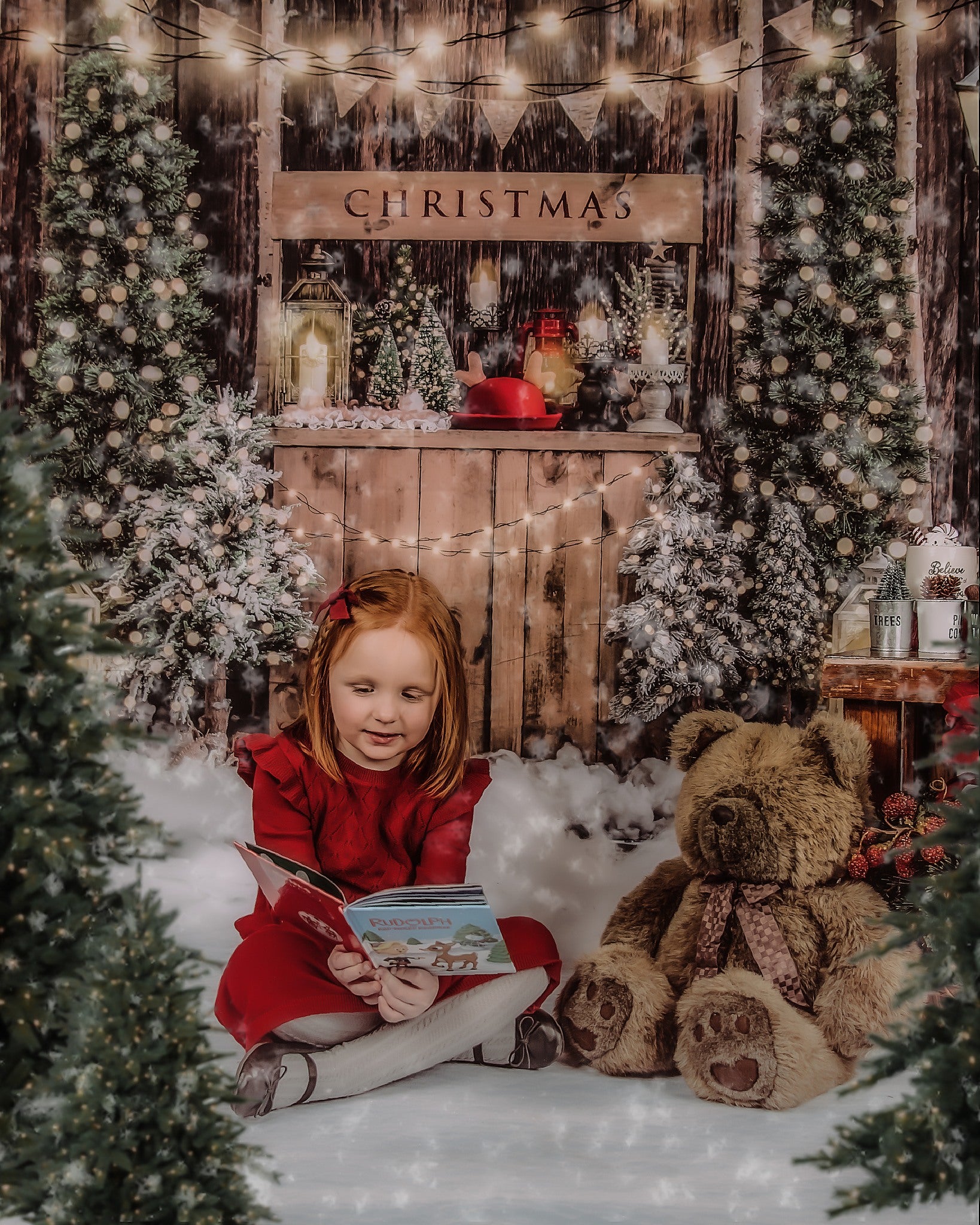 Kate Weihnachten Winter Hintergrund Holz Schnee von Emetselch - Kate Backdrop.de