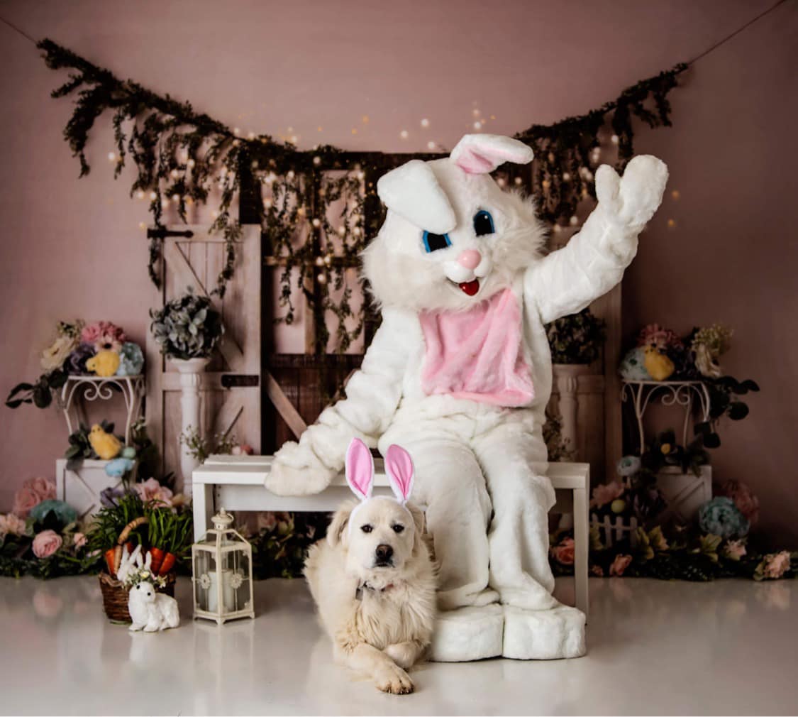 Kate Ostern Blumen Küken Hintergrund von Mandy Ringe Photography - Kate Backdrop.de