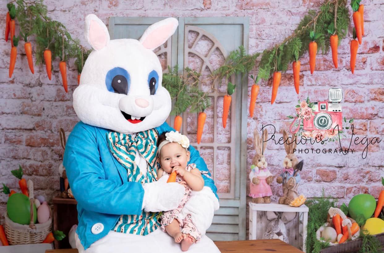 Kate Osterhasen-Hintergrundkulisse von Emetselch - Kate Backdrop.de