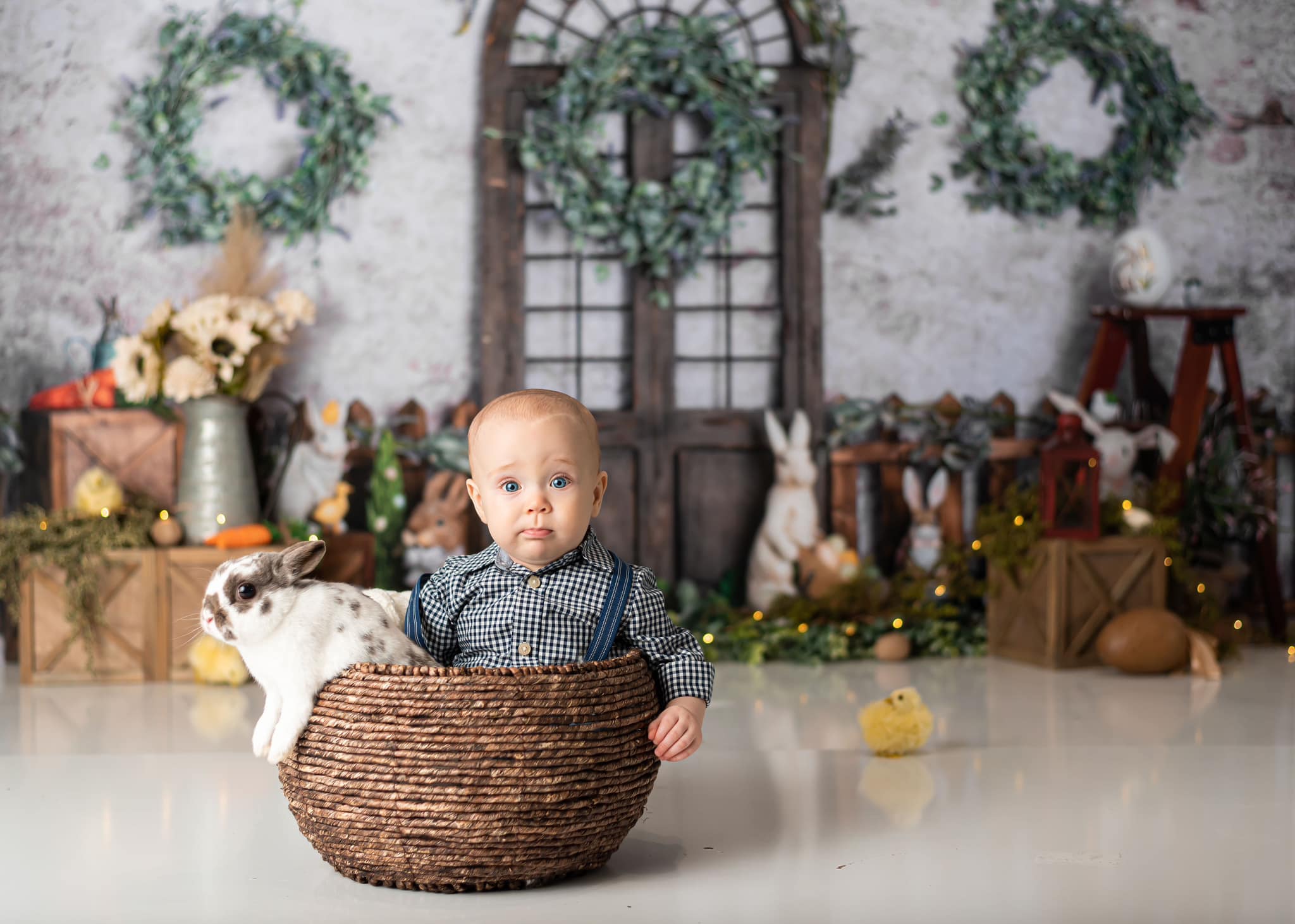 Kate Ostern Garten Tür Hintergrund Kaninchen für Fotografie von Rose Abbas - Kate Backdrop.de