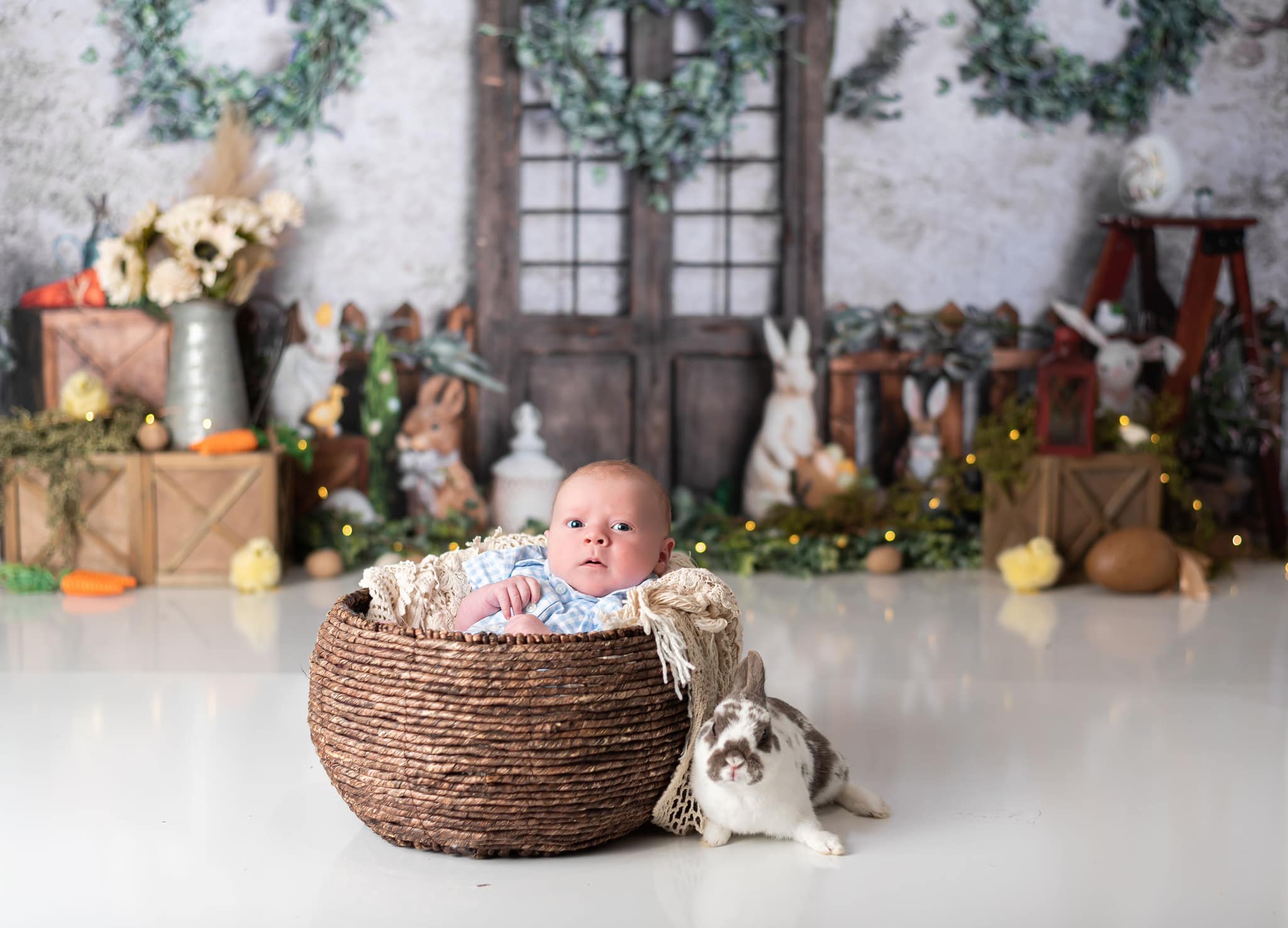 Kate Ostern Garten Tür Hintergrund Kaninchen für Fotografie von Rose Abbas - Kate Backdrop.de