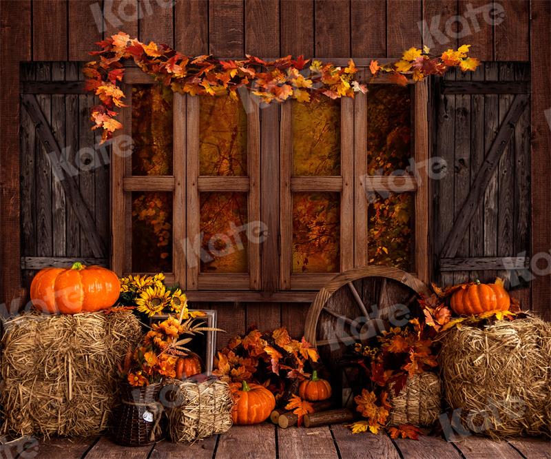 Kate Herbst Hintergrund Scheune Bauernhof Kürbisse für Fotografie - Kate Backdrop.de