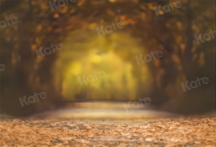 Kate Bokeh Hintergrund Herbst Blätter Baum Straße für Fotografie - Kate Backdrop.de