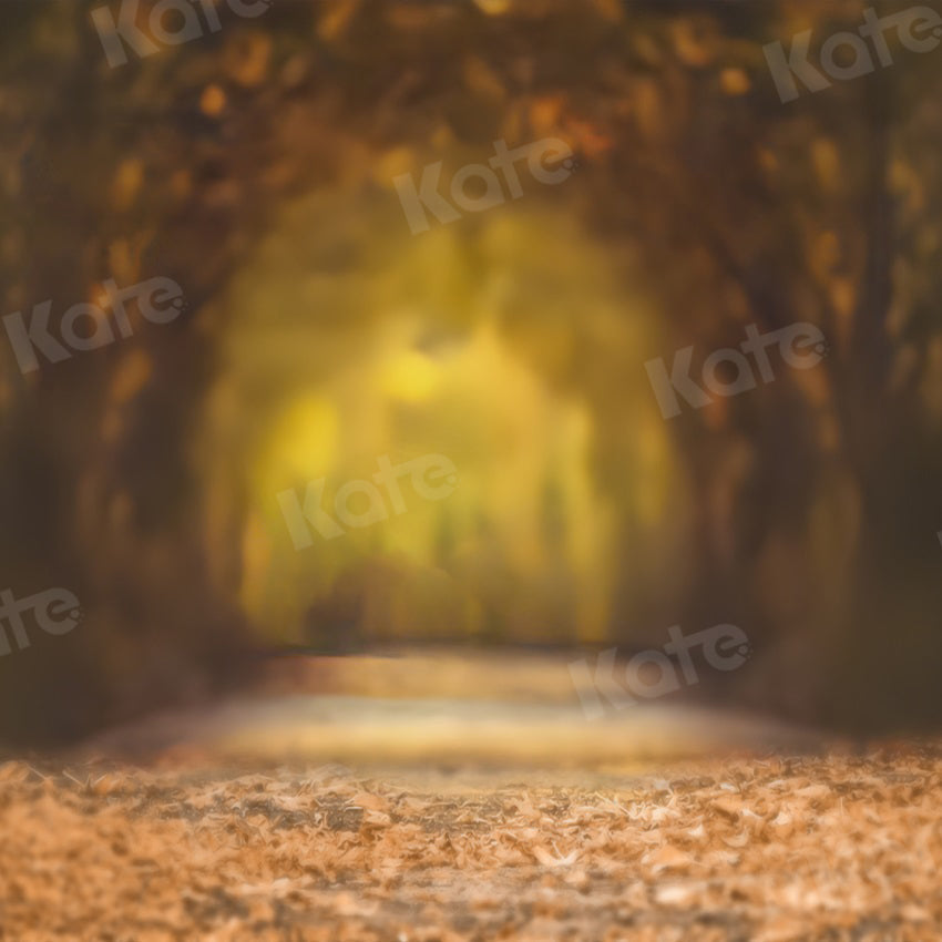 Kate Bokeh Hintergrund Herbst Blätter Baum Straße für Fotografie - Kate Backdrop.de