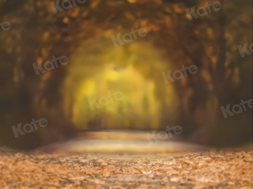 Kate Bokeh Hintergrund Herbst Blätter Baum Straße für Fotografie - Kate Backdrop.de