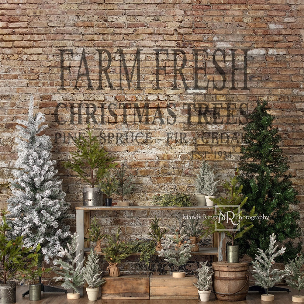 Kate Weihnachten Bauernhof Baum Stand Hintergrund von Mandy Ringe Photography - Kate Backdrop.de