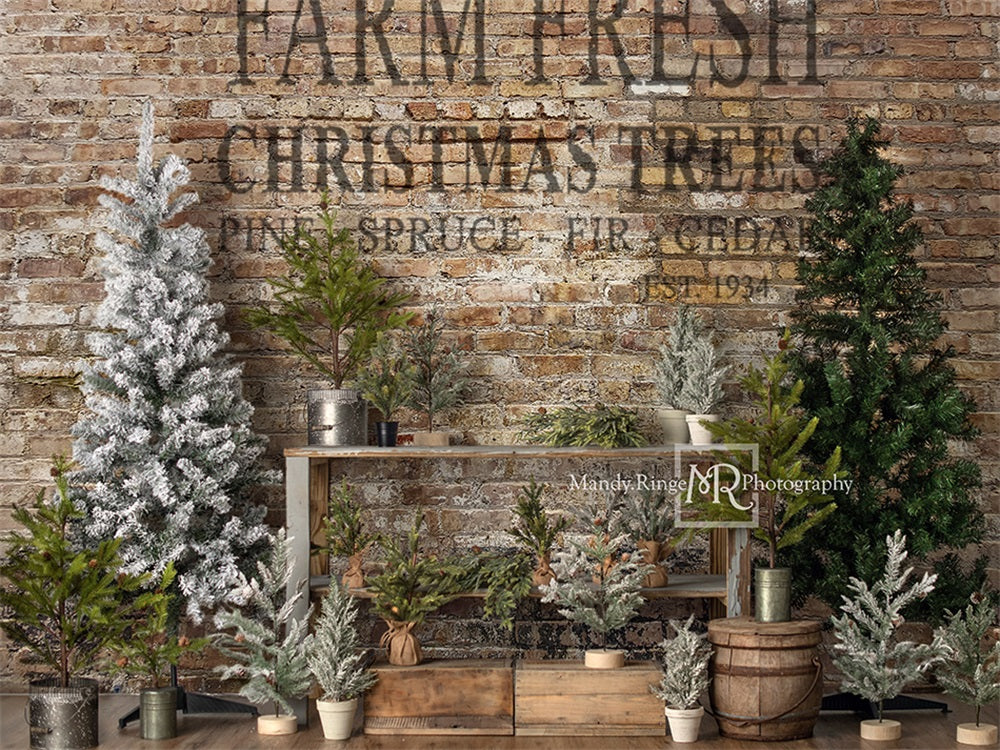 Kate Weihnachten Bauernhof Baum Stand Hintergrund von Mandy Ringe Photography - Kate Backdrop.de