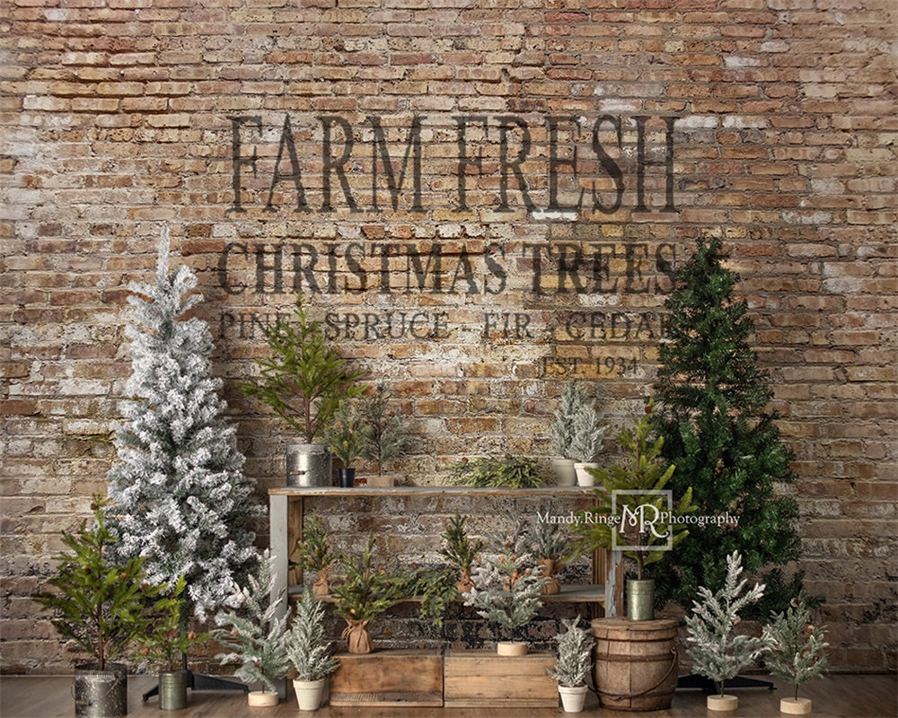 Kate Weihnachten Bauernhof Baum Stand Hintergrund von Mandy Ringe Photography - Kate Backdrop.de