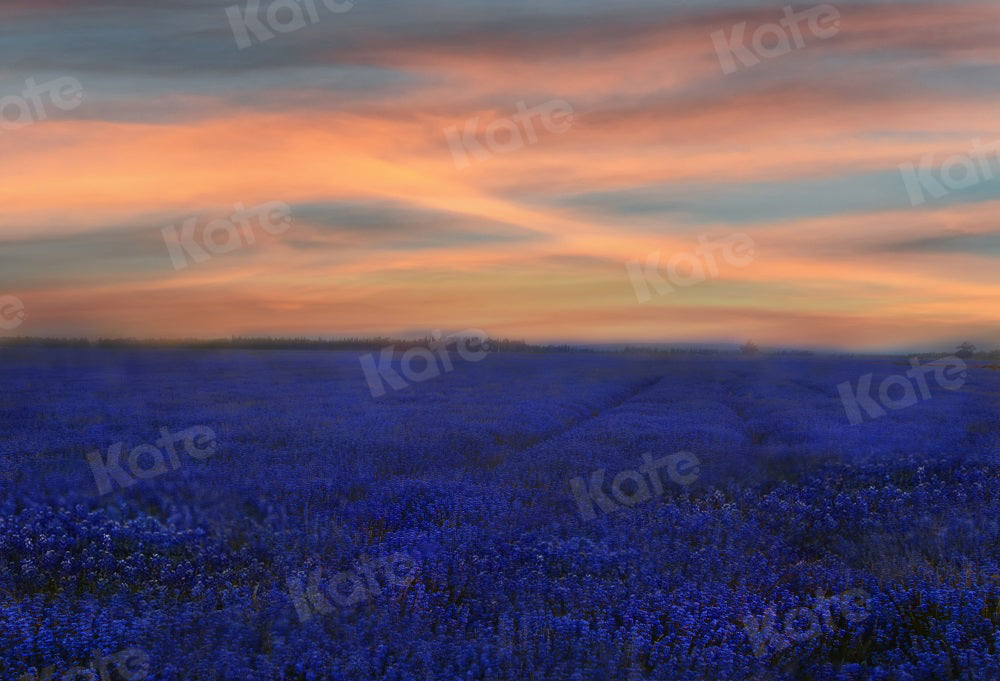 Kate Sonnenuntergang Blumen Hintergrund Landschaft Lavendel für Fotografie - Kate Backdrop.de