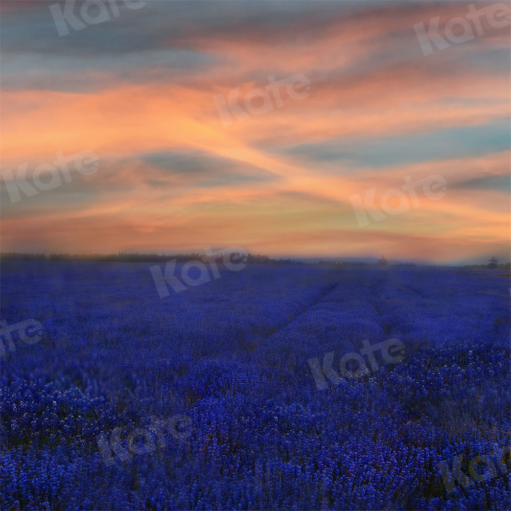 Kate Sonnenuntergang Blumen Hintergrund Landschaft Lavendel für Fotografie - Kate Backdrop.de