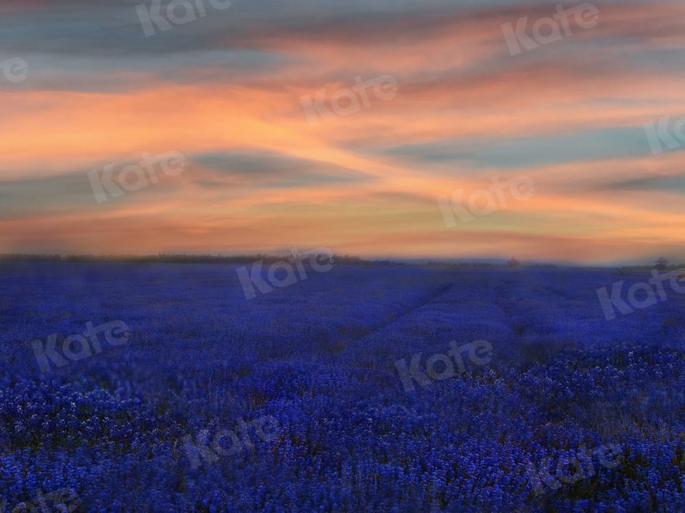 Kate Sonnenuntergang Blumen Hintergrund Landschaft Lavendel für Fotografie - Kate Backdrop.de