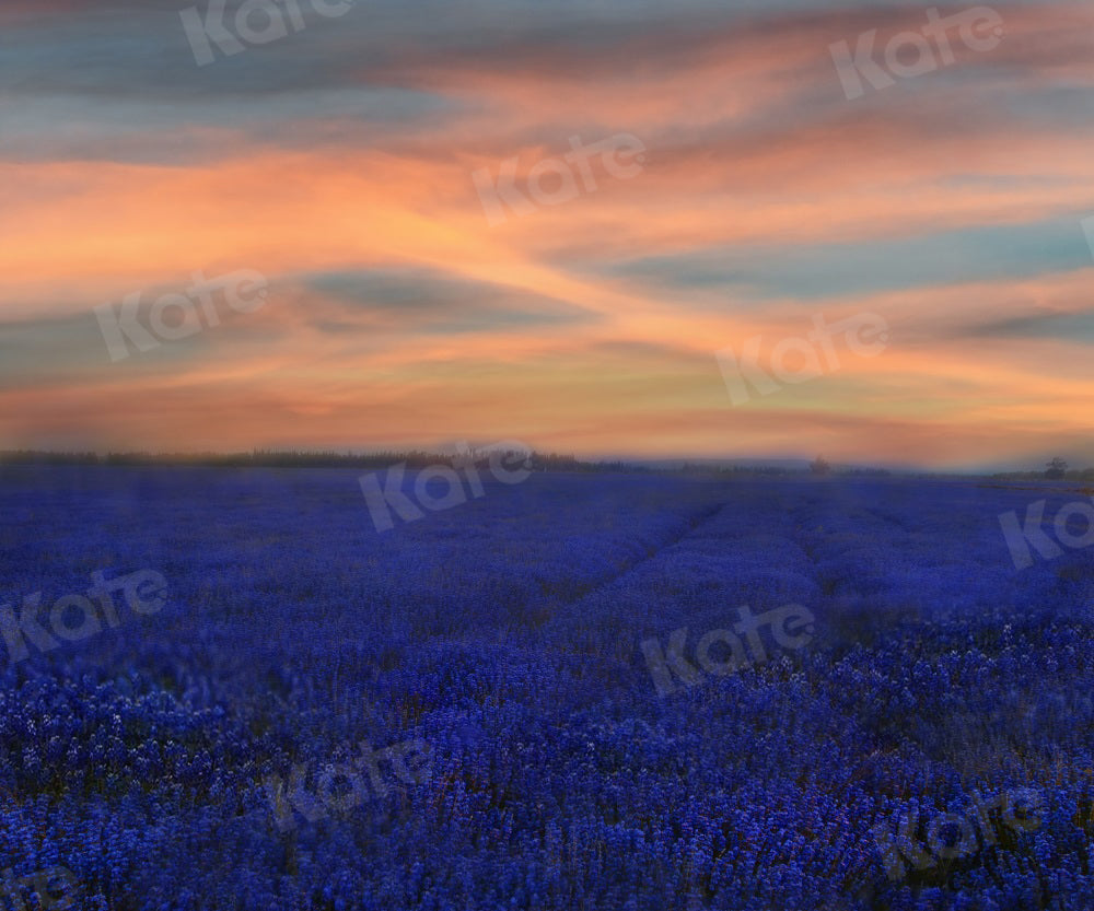 Kate Sonnenuntergang Blumen Hintergrund Landschaft Lavendel für Fotografie - Kate Backdrop.de