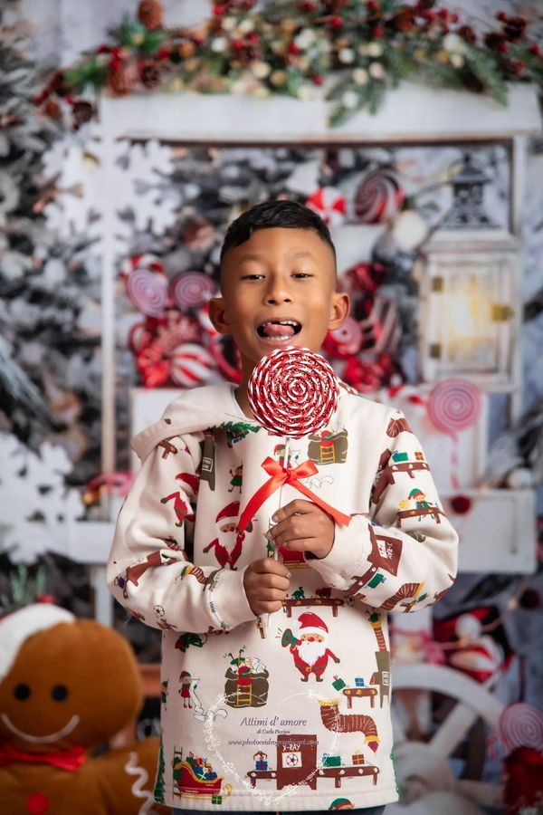 Kate Weihnachten Hot Cocoa Schnee Bäume Zimmer - Kate Backdrop.de