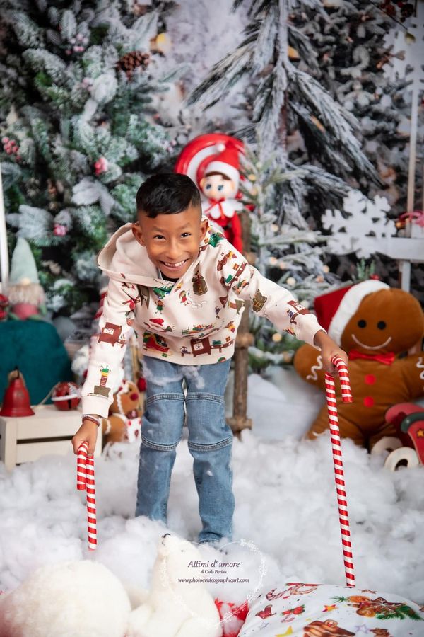 Kate Weihnachten Hot Cocoa Schnee Bäume Zimmer - Kate Backdrop.de