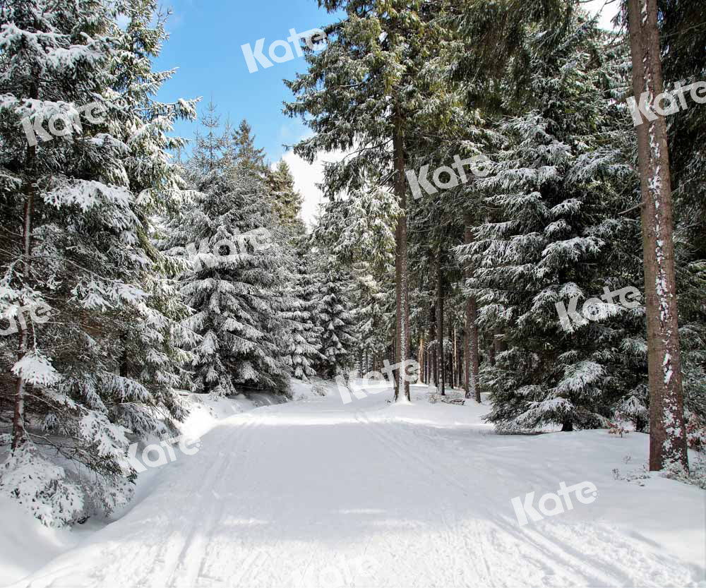 Kate Winter Hintergrund Straße Weihnachten Bäume Schnee von Chain Photography - Kate Backdrop.de