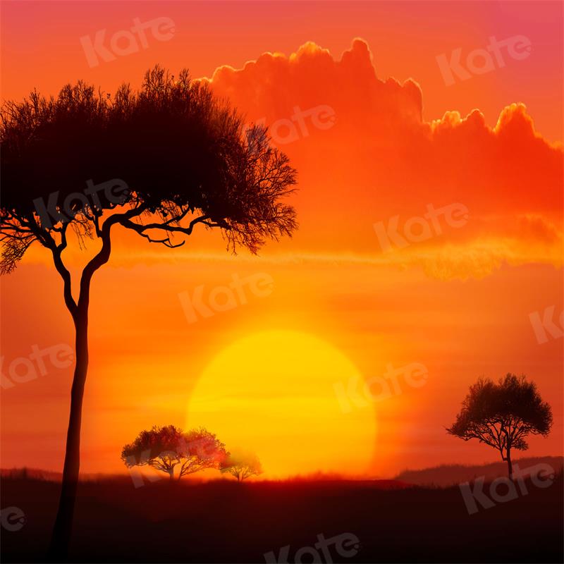 Kate Landschaft Hintergrund Sonnenuntergang Baum für Fotografie - Kate Backdrop.de