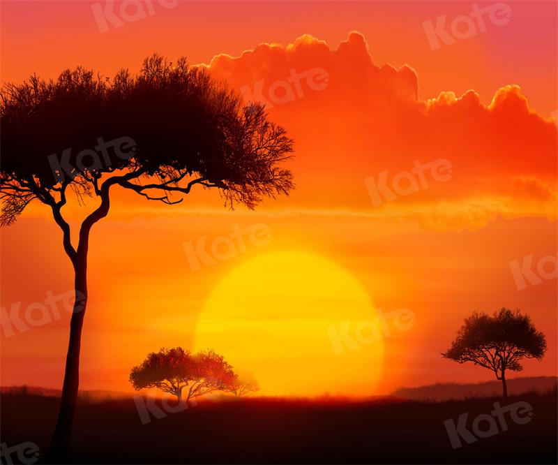 Kate Landschaft Hintergrund Sonnenuntergang Baum für Fotografie - Kate Backdrop.de