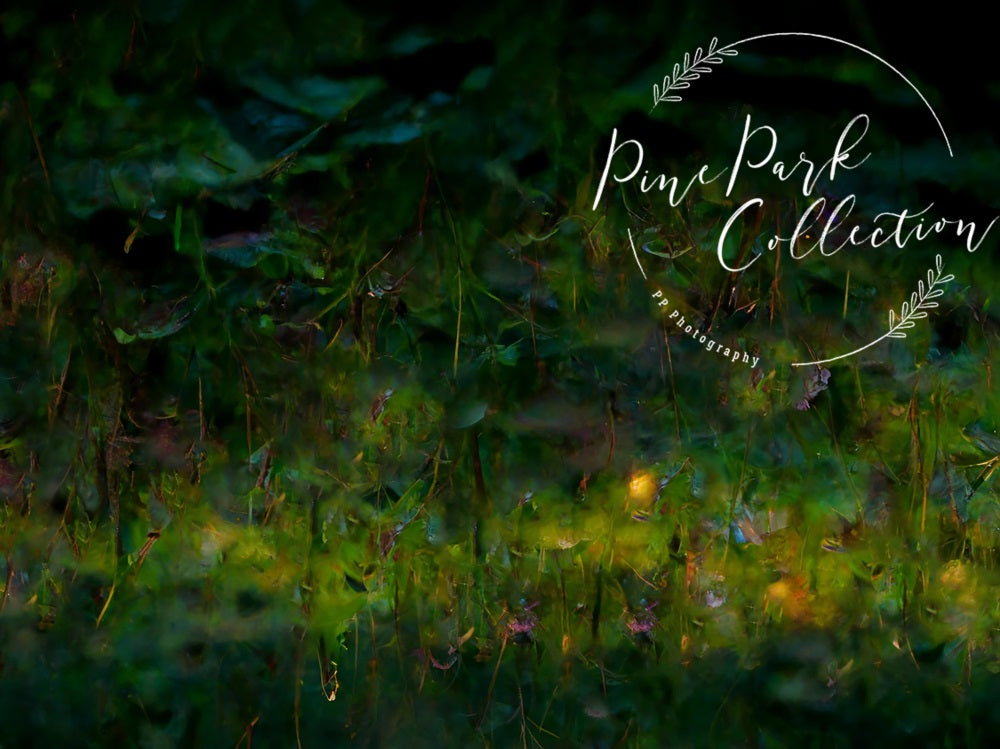 Kate Fee Garten Laune grüne Blätter Landschaft Hintergrund von Pine Park Collection - Kate Backdrop.de