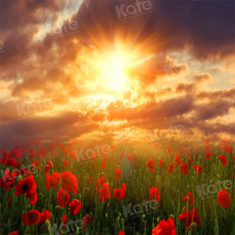 Kate Valentinstag Hintergrund Landschaft Sonnenuntergang Blumen für Fotografie - Kate Backdrop.de