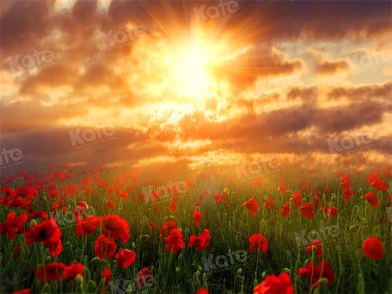 Kate Valentinstag Hintergrund Landschaft Sonnenuntergang Blumen für Fotografie - Kate Backdrop.de