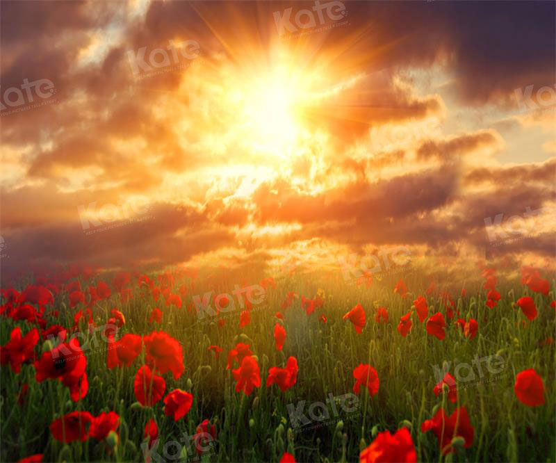 Kate Valentinstag Hintergrund Landschaft Sonnenuntergang Blumen für Fotografie - Kate Backdrop.de