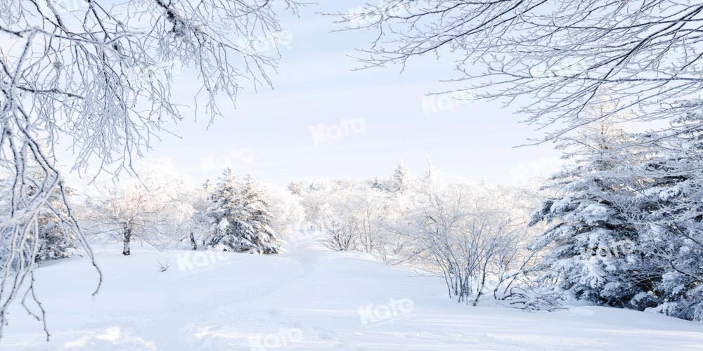 Kate Winter Hintergrund Schnee Wald von Chain Photography