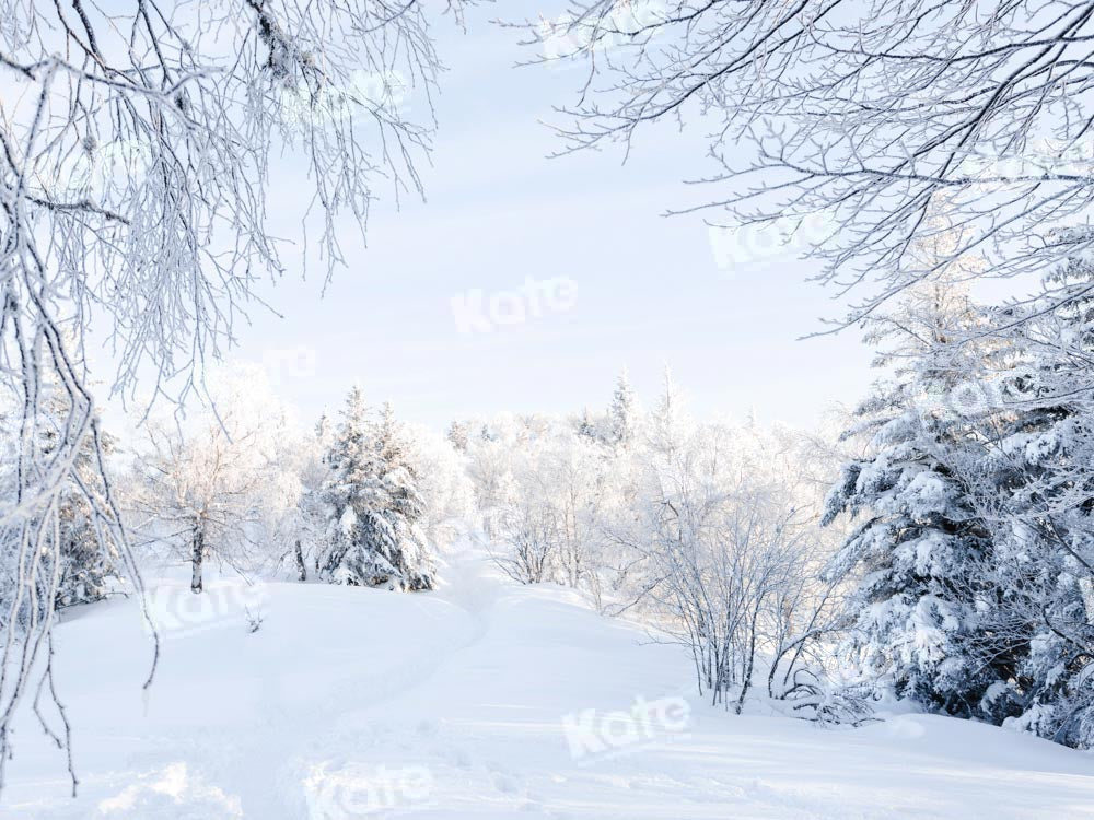 Kate Winter Hintergrund Schnee Wald von Chain Photography