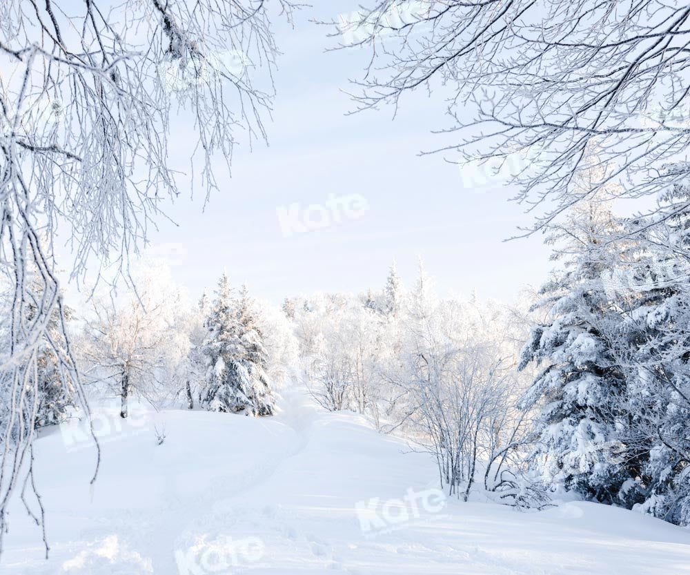 Kate Winter Hintergrund Schnee Wald von Chain Photography