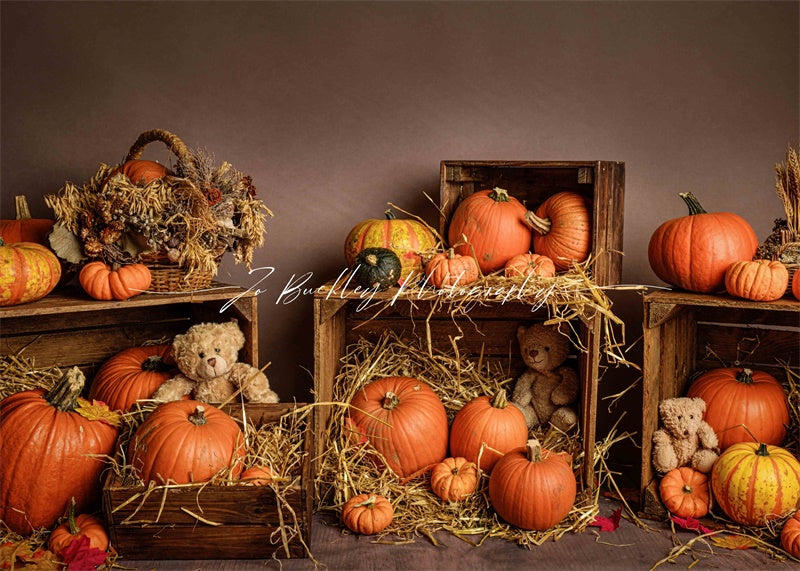 Kate Kürbis Herbst Bär Hintergrund von Jo Buckley Photography