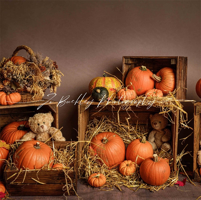 Kate Kürbis Herbst Bär Hintergrund von Jo Buckley Photography