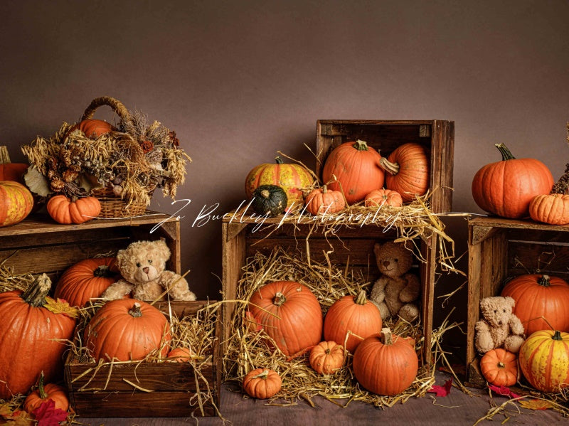 Kate Kürbis Herbst Bär Hintergrund von Jo Buckley Photography