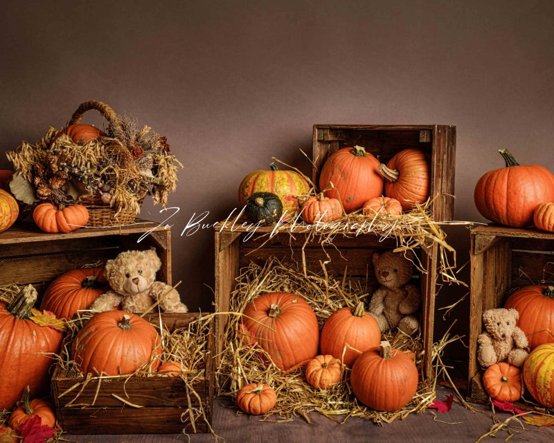 Kate Kürbis Herbst Bär Hintergrund von Jo Buckley Photography