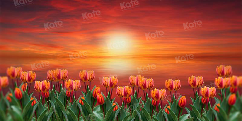 Kate Frühling Tulpe Dämmerung Sonnenuntergang Hintergrund für die Fotografie - Kate Backdrop.de