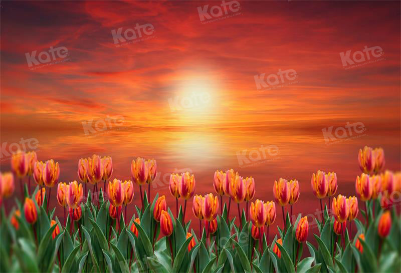 Kate Frühling Tulpe Dämmerung Sonnenuntergang Hintergrund für die Fotografie - Kate Backdrop.de