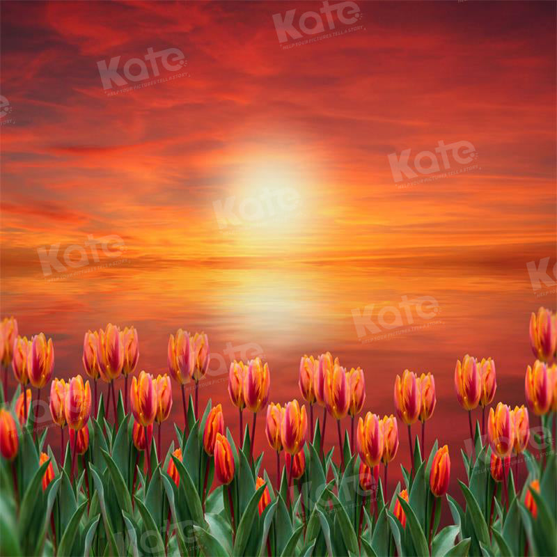 Kate Frühling Tulpe Dämmerung Sonnenuntergang Hintergrund für die Fotografie - Kate Backdrop.de